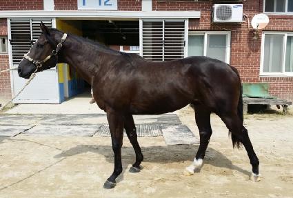 ���������� ����