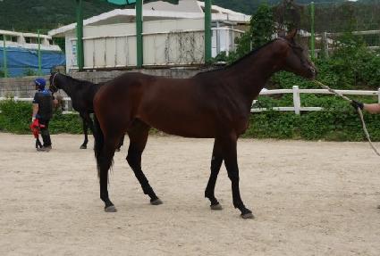 ����ζ� ����