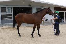 ������ġ (SUPER PUNCH) ����