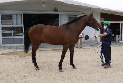 ������ġ ����