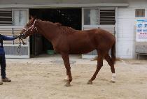 õ������ (CHEONHA JAEPAE) ����