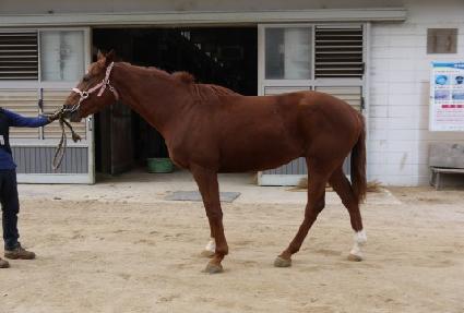 õ������ ����