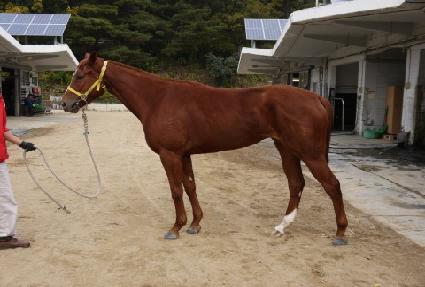 ������ ����