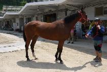 ���ӵ�ǳ (GWASOK DOLPUNG) ����