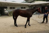 �´��������� (ON THE STAGE) ����