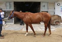 ȭ�̾�帲 (FIRE DREAM) ����