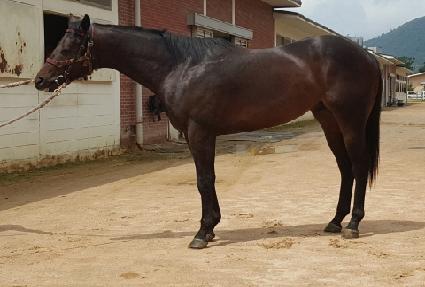 ���ѿ��� ����