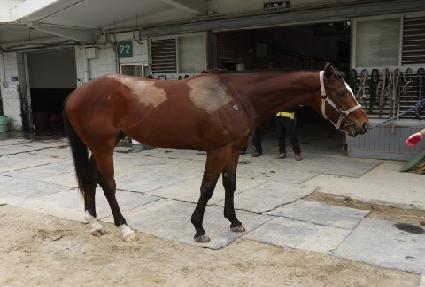 ���� ����