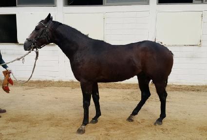 Ŀ�Ȼ��� ����