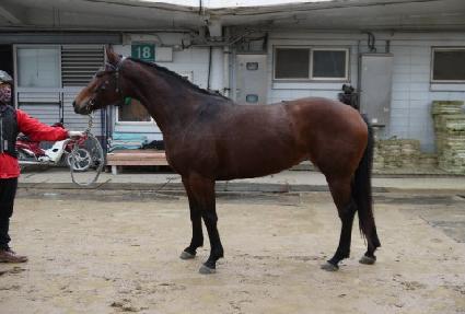 Ǯ���� ����