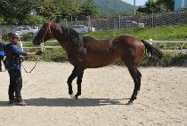 ����� (YONGSUJAE) ����