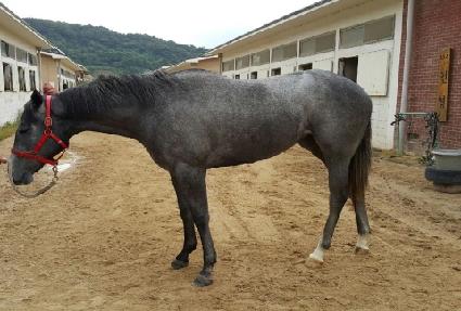 ȭ��Ʈ���� ����