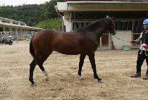 HANIL MASTER picture