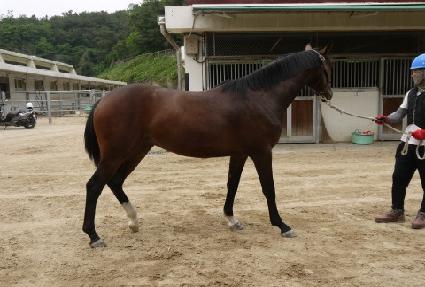 ���ϸ����� ����