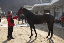 Ű���� (CIRCE) ����