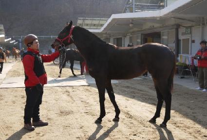 Ű���� ����