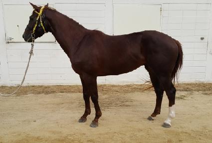 ���۽���Ʈ ����