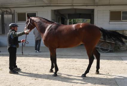 ��弭Ŭ ����