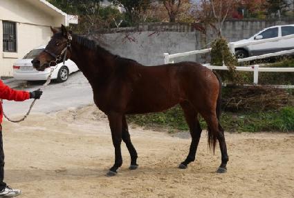 �Ͼ��� ����