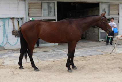 ���� ����