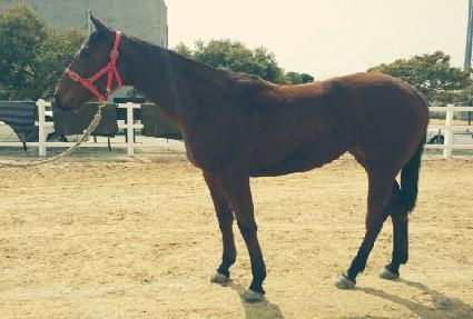 �߾ӿ��� ����