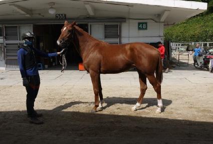 ��Ʋ����Ʈ ����