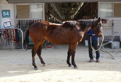 ���ƿ���í�� ����