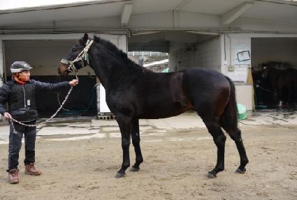 �����ǹݶ� ����