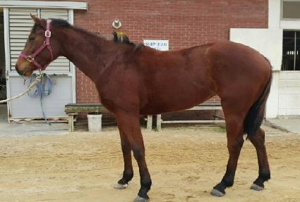 �ܿ����� ����