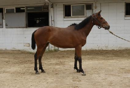 ��Ͻ��� ����