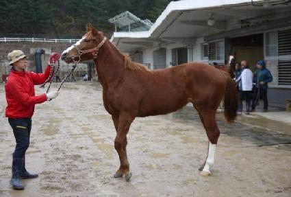 ������Ʈ ����