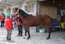 ��󺸽��� (BRAVO STORM) ����