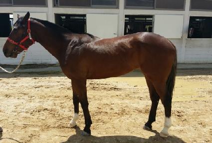 ���̻��ǰ��� ����