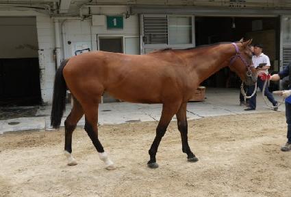 �������Ʈ ����