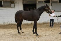 �����Ƽ (BABBLE CITY) ����