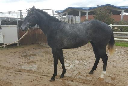 ������� ����