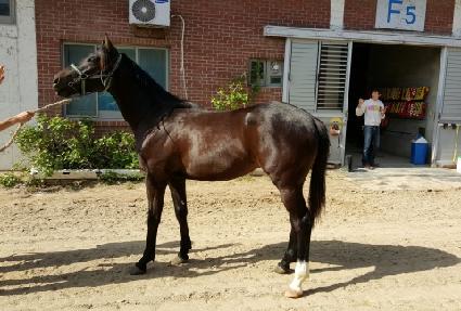 �ݺ����� ����