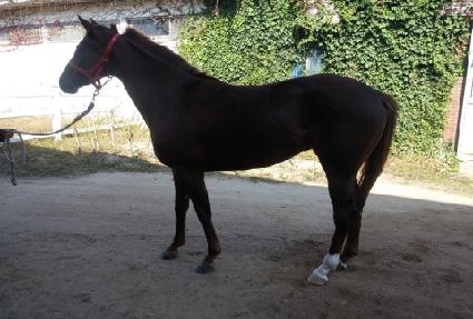 �����깮 ����