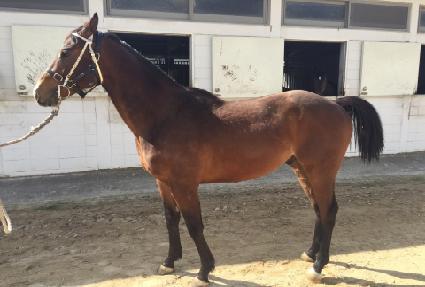 ����Ʈ������ ����