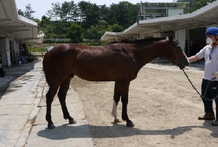 ��ũ��Ƽ ����