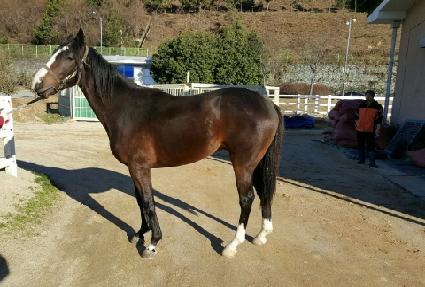 �ö��̾���� ����