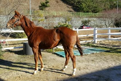 ŷ������ ����