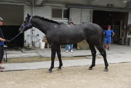 �����ٴ� ����