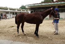 ���赿�� (BOBAE DONGJA) ����