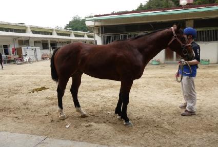 ���赿�� ����