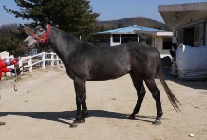 ���ø� ����