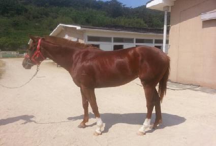 �ٿ���� ����