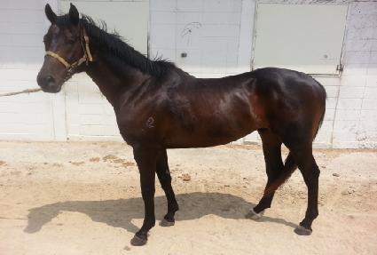 �ö��̾� ����