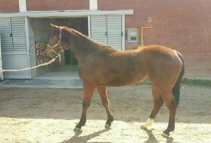 ���� ����