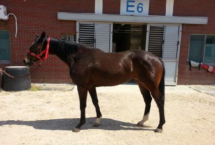 ��ī�йи� ����